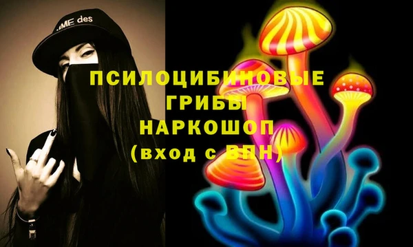 сатива Кукмор