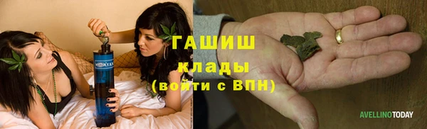 сатива Кукмор