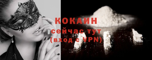 прущие грибы Куйбышев