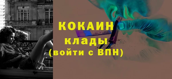 прущие грибы Куйбышев