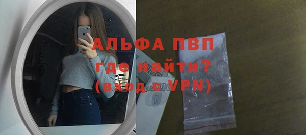 сатива Кукмор
