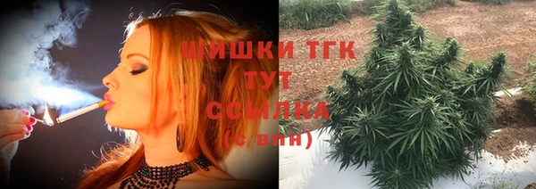 сатива Кукмор