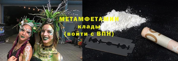 прущие грибы Куйбышев