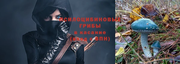 сатива Кукмор
